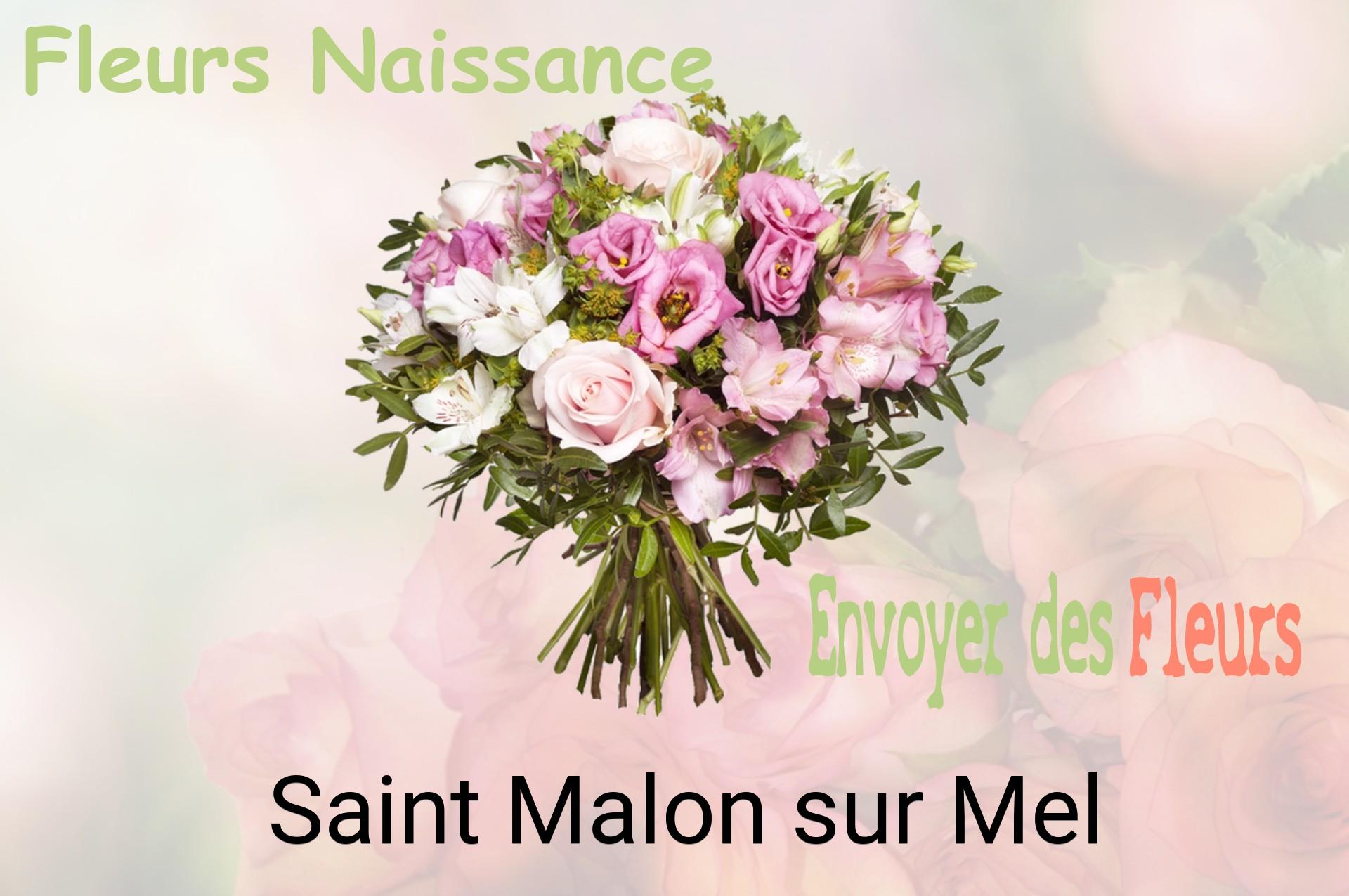Bouquet de fleurs de naissance livré à Saint-Malon-sur-Mel