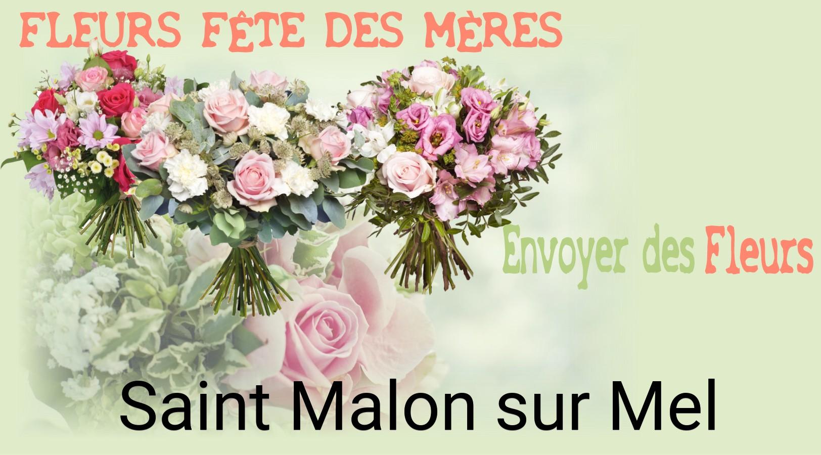 Bouquet de Fête des Mères livré à Saint-Malon-sur-Mel
